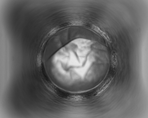 X0000096190203200802081527