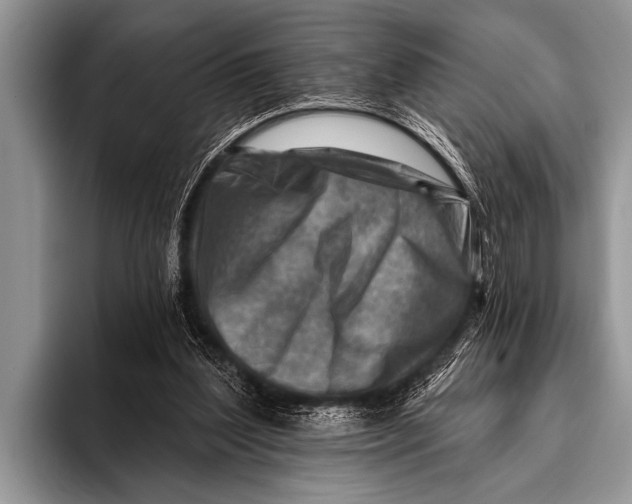 X0000096190204200802081527