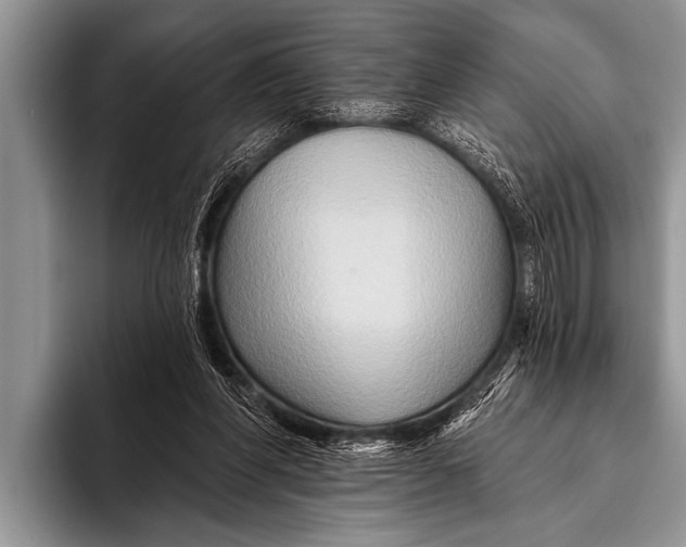 X0000096190206200802081527