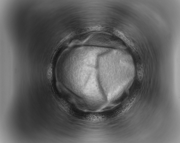 X0000096190207200802081527