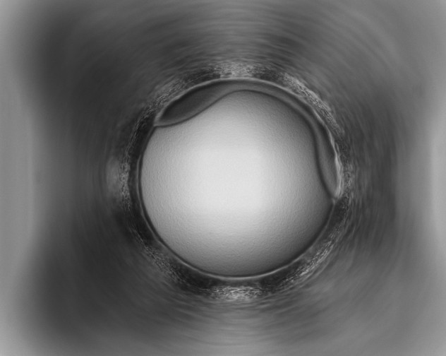 X0000096190209200802081527