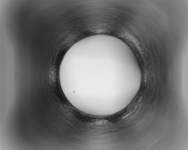 X0000096190210200802081526