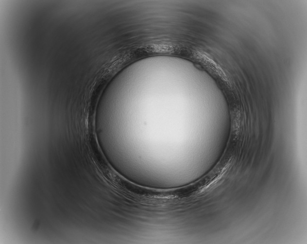 X0000096190213200802081526