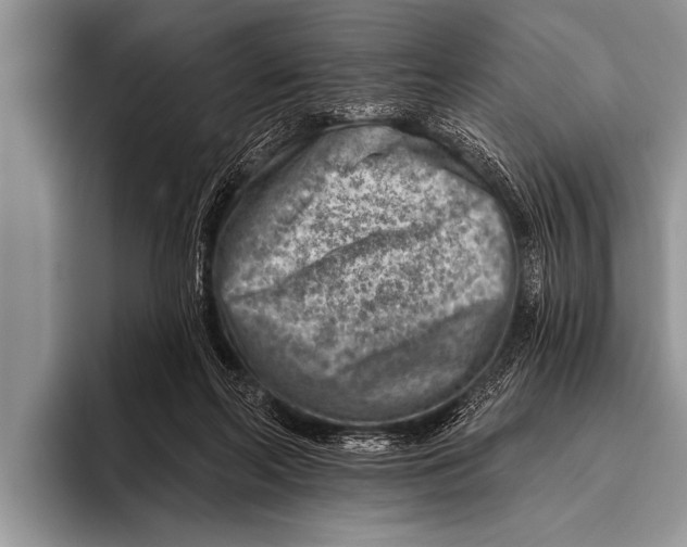 X0000096190214200802081526