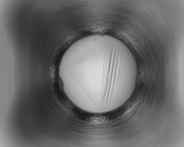 X0000096190215200802081526