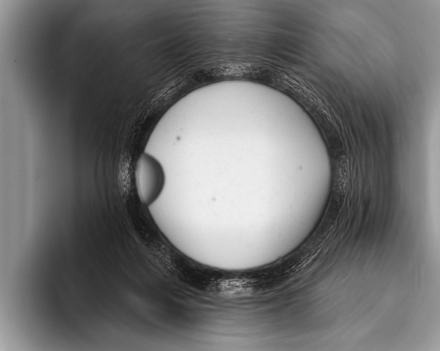 X0000096190216200802081526