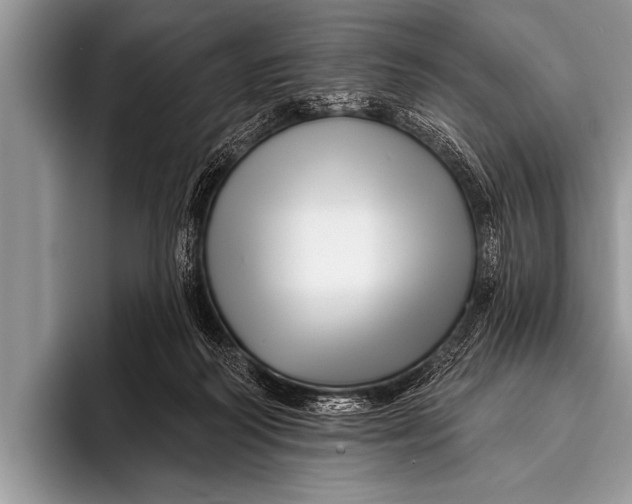 X0000096190218200802081526