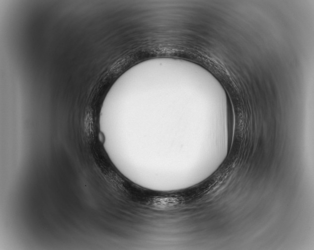 X0000096190220200802081526