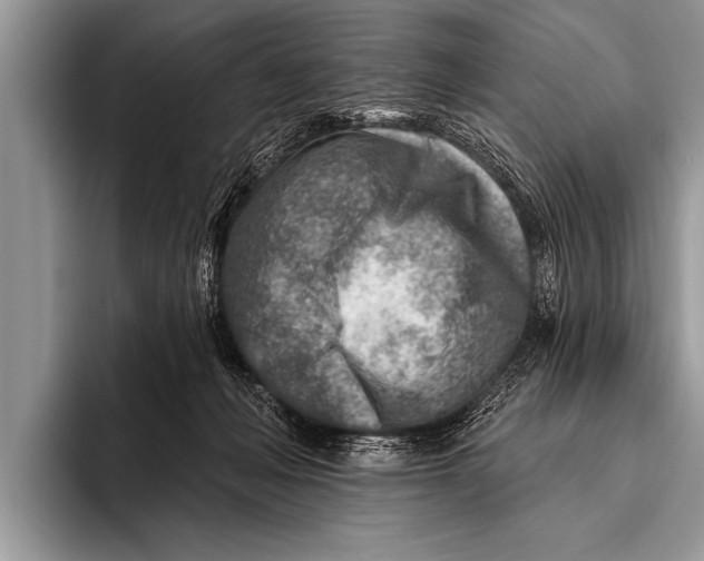 X0000096190222200802081526