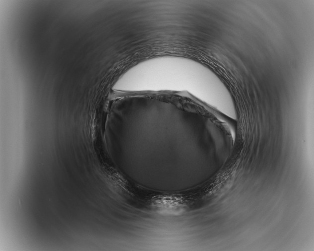 X0000096190223200802081526