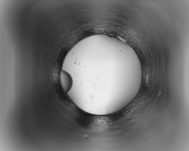 X0000096190226200802081526