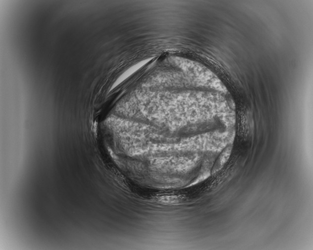 X0000096190228200802081526