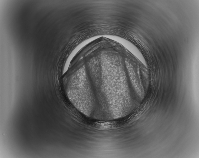 X0000096190229200802081526