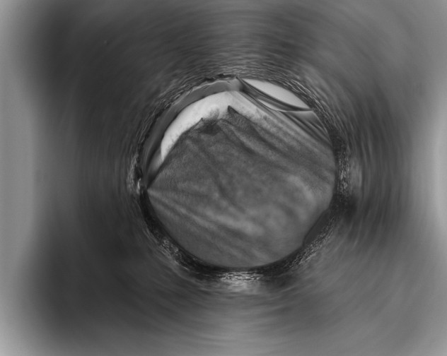 X0000096190231200802081526