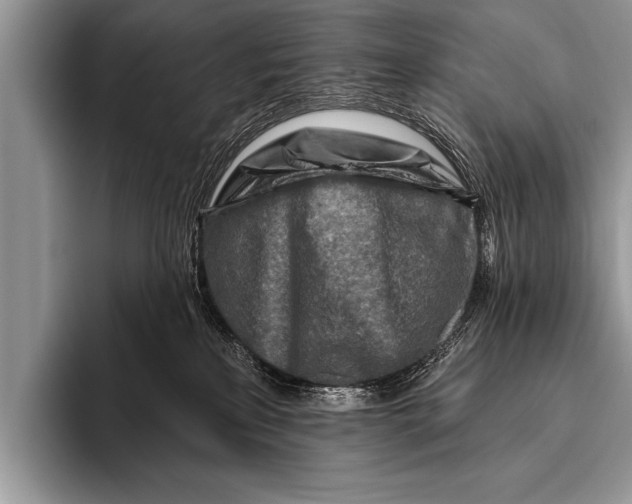 X0000096190233200802081526