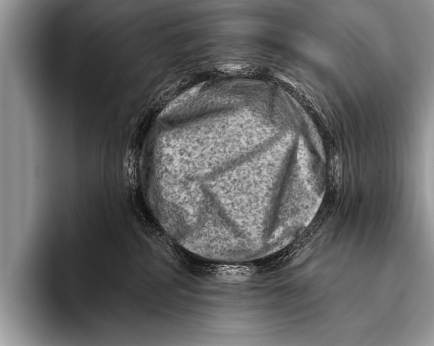 X0000096190234200802081526