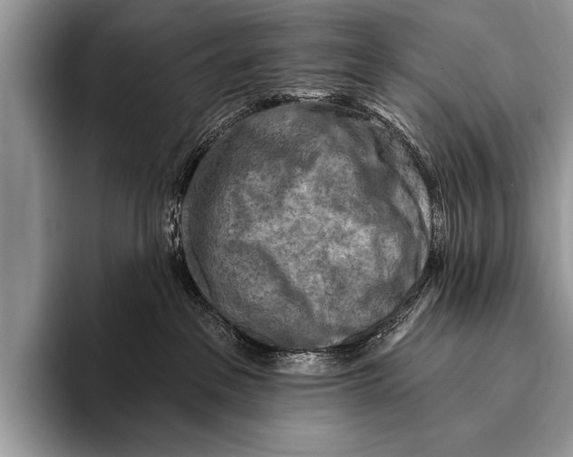 X0000096190237200802081526