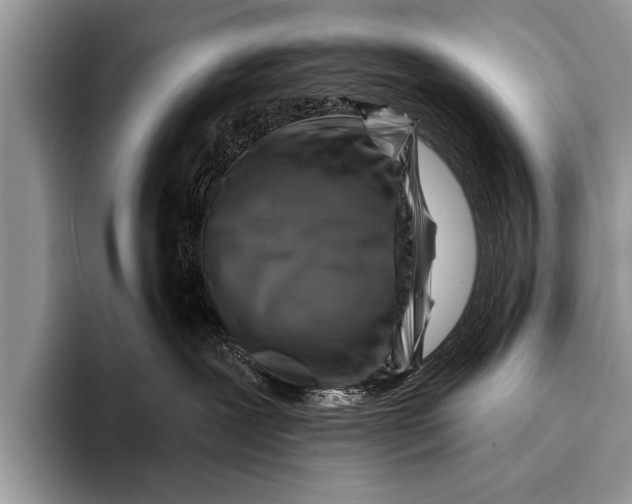 X0000096190239200802081526