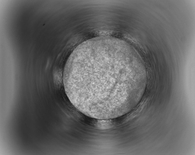 X0000096190240200802081526