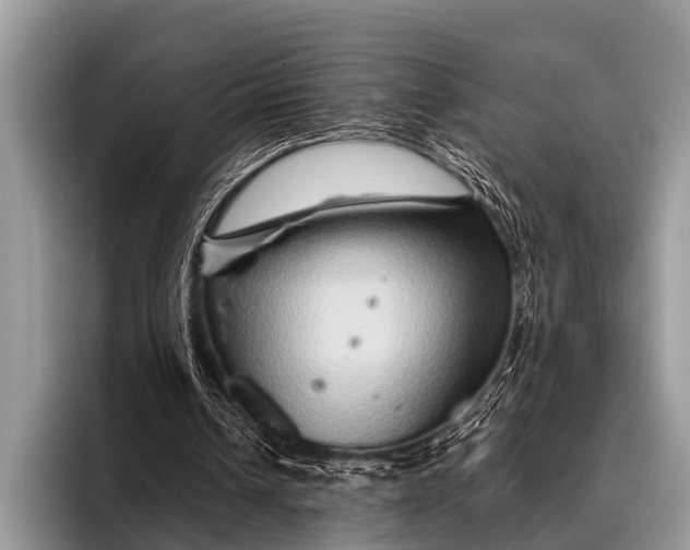 X0000096190242200802081525