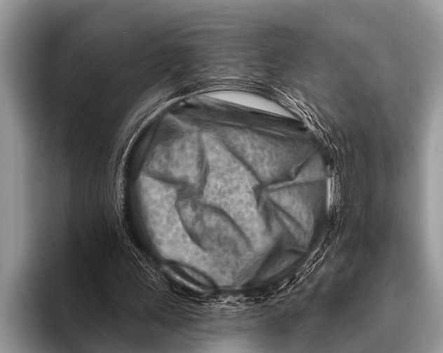 X0000096190243200802081525