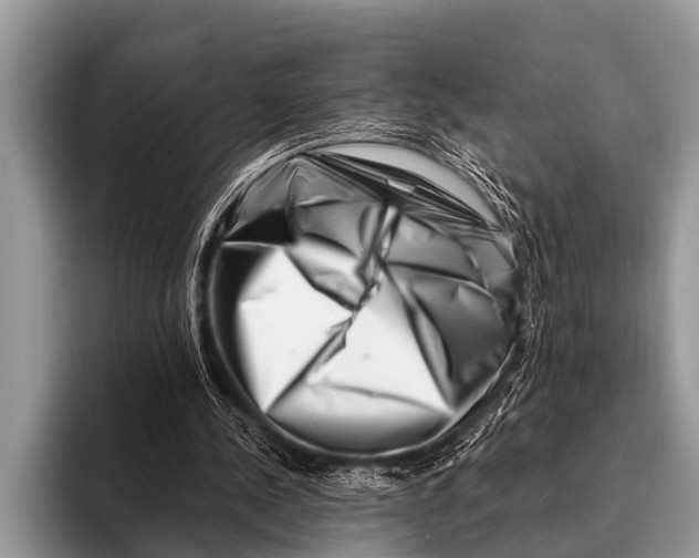 X0000096190244200802081526