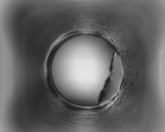 X0000096190246200802081526