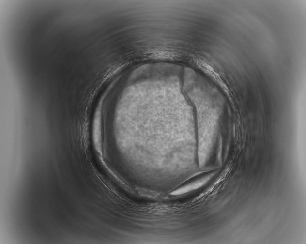 X0000096190249200802081526