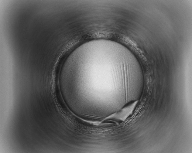 X0000096190250200802081526