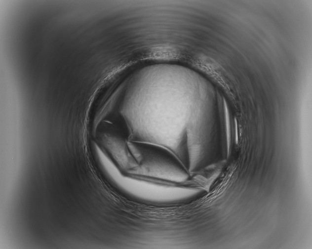 X0000096190252200802081526