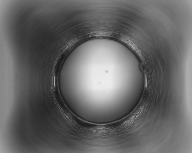 X0000096190253200802081526