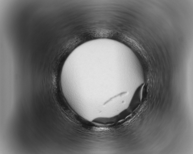 X0000096190258200802081526