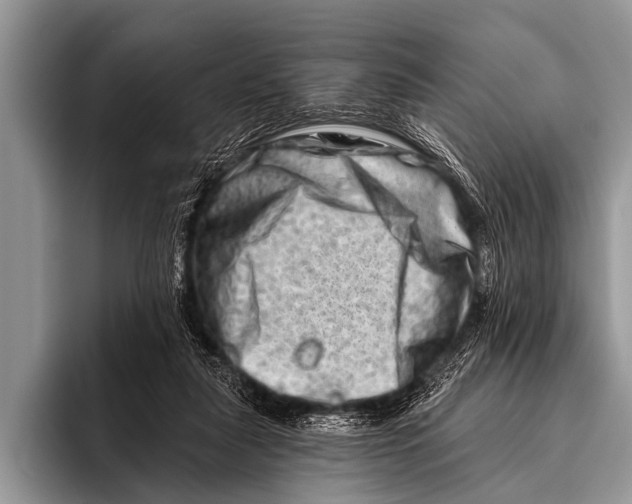 X0000096190259200802081526