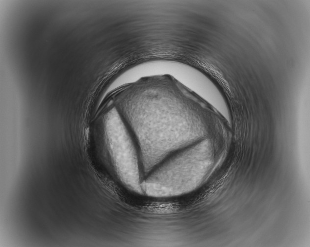 X0000096190260200802081526