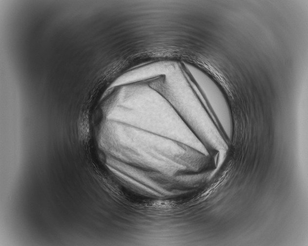 X0000096190261200802081526