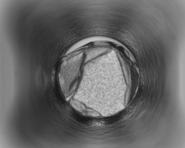 X0000096190263200802081526