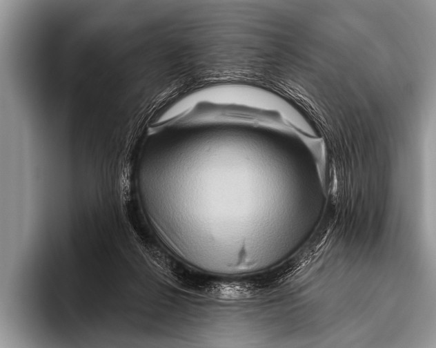 X0000096190264200802081526