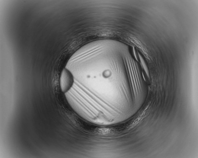 X0000096190265200802081526