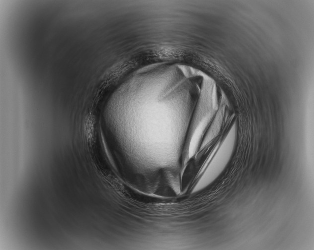 X0000096190266200802081526