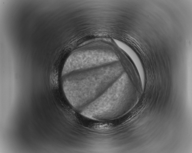 X0000096190267200802081526