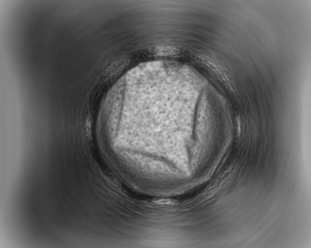 X0000096190269200802081526