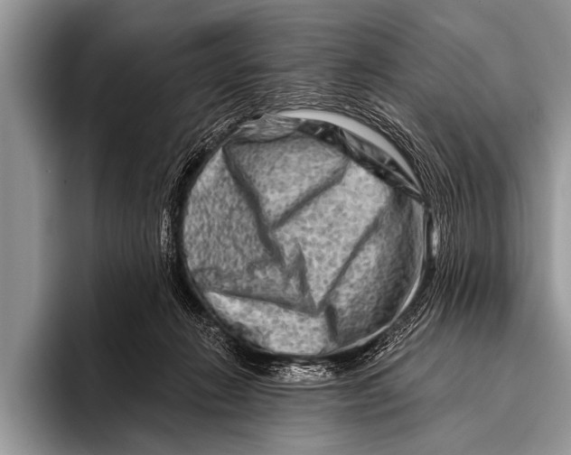 X0000096190270200802081526