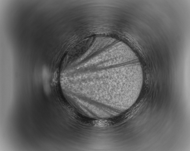 X0000096190273200802081526