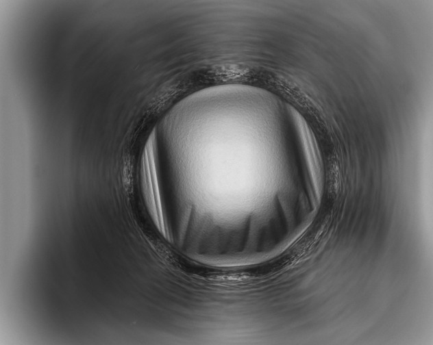 X0000096190274200802081526