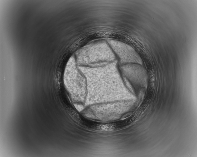 X0000096190275200802081526