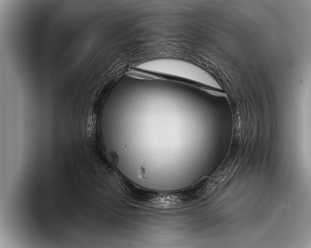 X0000096190278200802081526