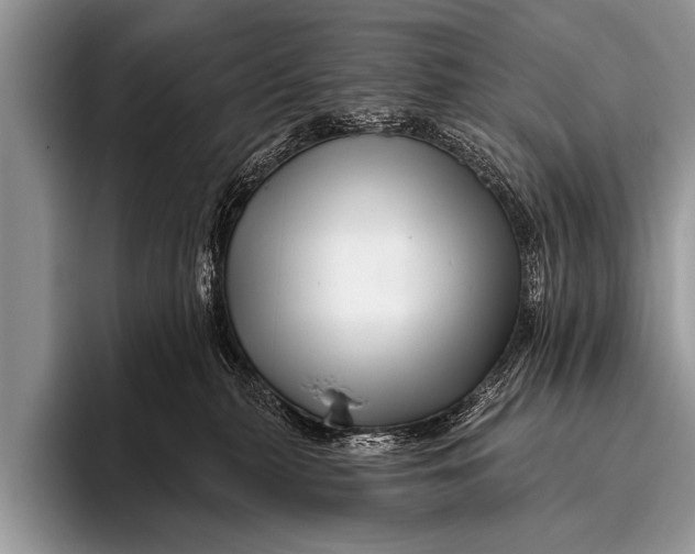 X0000096190279200802081526