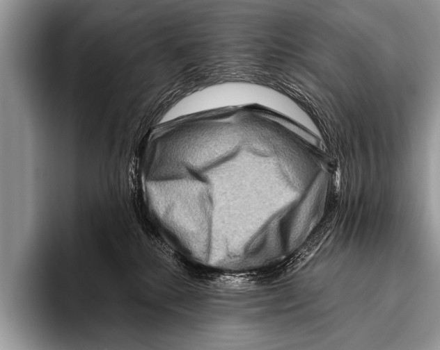 X0000096190280200802081526