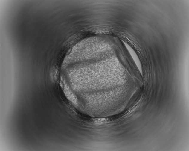 X0000096190281200802081526