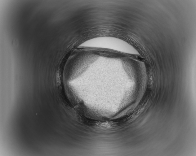 X0000096190282200802081526